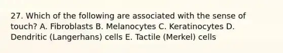 27. Which of the following are associated with the sense of touch? A. Fibroblasts B. Melanocytes C. Keratinocytes D. Dendritic (Langerhans) cells E. Tactile (Merkel) cells