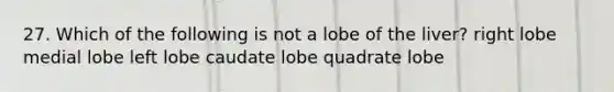 27. Which of the following is not a lobe of the liver? right lobe medial lobe left lobe caudate lobe quadrate lobe