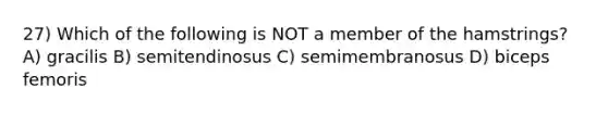 27) Which of the following is NOT a member of the hamstrings? A) gracilis B) semitendinosus C) semimembranosus D) biceps femoris