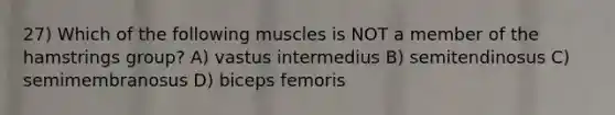 27) Which of the following muscles is NOT a member of the hamstrings group? A) vastus intermedius B) semitendinosus C) semimembranosus D) biceps femoris