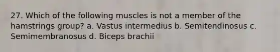 27. Which of the following muscles is not a member of the hamstrings group? a. Vastus intermedius b. Semitendinosus c. Semimembranosus d. Biceps brachii