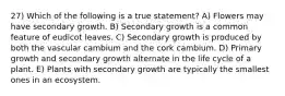 27) Which of the following is a true statement? A) Flowers may have secondary growth. B) Secondary growth is a common feature of eudicot leaves. C) Secondary growth is produced by both the vascular cambium and the cork cambium. D) Primary growth and secondary growth alternate in the life cycle of a plant. E) Plants with secondary growth are typically the smallest ones in an ecosystem.