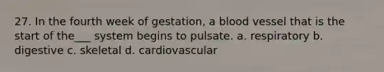 27. In the fourth week of gestation, a blood vessel that is the start of the___ system begins to pulsate. a. respiratory b. digestive c. skeletal d. cardiovascular