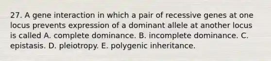 27. A gene interaction in which a pair of recessive genes at one locus prevents expression of a dominant allele at another locus is called A. complete dominance. B. incomplete dominance. C. epistasis. D. pleiotropy. E. polygenic inheritance.