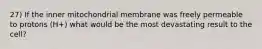 27) If the inner mitochondrial membrane was freely permeable to protons (H+) what would be the most devastating result to the cell?