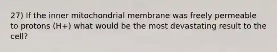 27) If the inner mitochondrial membrane was freely permeable to protons (H+) what would be the most devastating result to the cell?