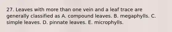 27. Leaves with more than one vein and a leaf trace are generally classified as A. compound leaves. B. megaphylls. C. simple leaves. D. pinnate leaves. E. microphylls.