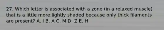 27. Which letter is associated with a zone (in a relaxed muscle) that is a little more lightly shaded because only thick filaments are present? A. I B. A C. M D. Z E. H