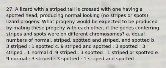 27. A lizard with a striped tail is crossed with one having a spotted head, producing normal looking (no stripes or spots) lizard progeny. What progeny would be expected to be produced by mating these progeny with each other, if the genes conferring stripes and spots were on different chromosomes? a. equal numbers of normal, striped, spotted and striped, and spotted b. 3 striped : 1 spotted c. 9 striped and spotted : 3 spotted : 3 striped : 1 normal d. 9 striped : 3 spotted : 1 striped or spotted e. 9 normal : 3 striped : 3 spotted : 1 striped and spotted