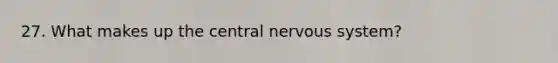 27. What makes up the central nervous system?