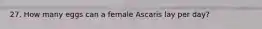 27. How many eggs can a female Ascaris lay per day?