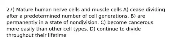 27) Mature human nerve cells and muscle cells A) cease dividing after a predetermined number of cell generations. B) are permanently in a state of nondivision. C) become cancerous more easily than other cell types. D) continue to divide throughout their lifetime