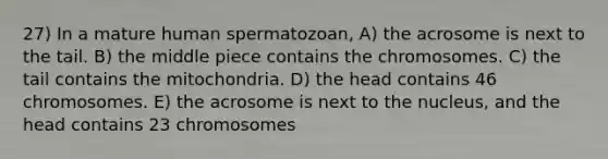 27) In a mature human spermatozoan, A) the acrosome is next to the tail. B) the middle piece contains the chromosomes. C) the tail contains the mitochondria. D) the head contains 46 chromosomes. E) the acrosome is next to the nucleus, and the head contains 23 chromosomes