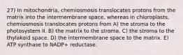 27) In mitochondria, chemiosmosis translocates protons from the matrix into the intermembrane space, whereas in chloroplasts, chemiosmosis translocates protons from A) the stroma to the photosystem II. B) the matrix to the stroma. C) the stroma to the thylakoid space. D) the intermembrane space to the matrix. E) ATP synthase to NADP+ reductase.