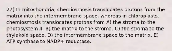 27) In mitochondria, chemiosmosis translocates protons from the matrix into the intermembrane space, whereas in chloroplasts, chemiosmosis translocates protons from A) the stroma to the photosystem II. B) the matrix to the stroma. C) the stroma to the thylakoid space. D) the intermembrane space to the matrix. E) ATP synthase to NADP+ reductase.