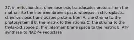 27. in mitochondria, chemiosmosis translocates protons from the matrix into the intermembrane space, whereas in chloroplasts, chemiosmosis translocates protons from A. the stroma to the photosystem II B. the matrix to the stroma C. the stroma to the thylakoid space D. the intermembrane space to the matrix E. ATP synthase to NADP+ reductase