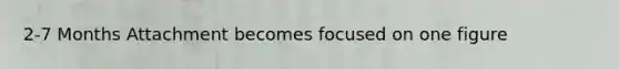 2-7 Months Attachment becomes focused on one figure