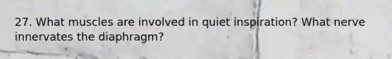 27. What muscles are involved in quiet inspiration? What nerve innervates the diaphragm?
