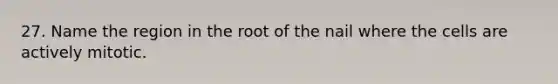 27. Name the region in the root of the nail where the cells are actively mitotic.