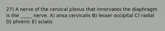 27) A nerve of the cervical plexus that innervates the diaphragm is the _____ nerve. A) ansa cervicalis B) lesser occipital C) radial D) phrenic E) sciatic