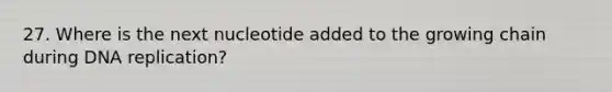 27. Where is the next nucleotide added to the growing chain during DNA replication?