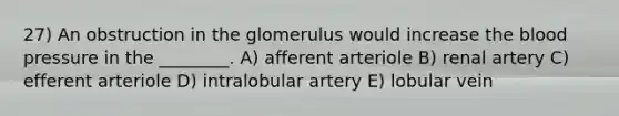 27) An obstruction in the glomerulus would increase <a href='https://www.questionai.com/knowledge/k7oXMfj7lk-the-blood' class='anchor-knowledge'>the blood</a> pressure in the ________. A) afferent arteriole B) renal artery C) efferent arteriole D) intralobular artery E) lobular vein