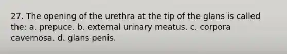 27. The opening of the urethra at the tip of the glans is called the: a. prepuce. b. external urinary meatus. c. corpora cavernosa. d. glans penis.