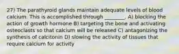 27) The parathyroid glands maintain adequate levels of blood calcium. This is accomplished through ________. A) blocking the action of growth hormone B) targeting the bone and activating osteoclasts so that calcium will be released C) antagonizing the synthesis of calcitonin D) slowing the activity of tissues that require calcium for activity