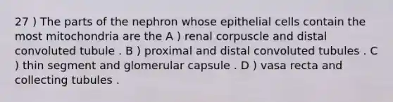 27 ) The parts of the nephron whose epithelial cells contain the most mitochondria are the A ) renal corpuscle and distal convoluted tubule . B ) proximal and distal convoluted tubules . C ) thin segment and glomerular capsule . D ) vasa recta and collecting tubules .