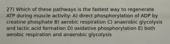 27) Which of these pathways is the fastest way to regenerate ATP during muscle activity: A) direct phosphorylation of ADP by creatine phosphate B) aerobic respiration C) anaerobic glycolysis and lactic acid formation D) oxidative phosphorylation E) both aerobic respiration and anaerobic glycolysis