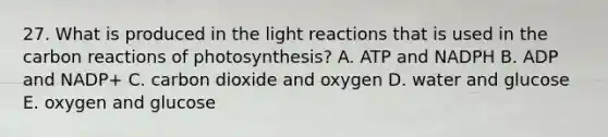 27. What is produced in the light reactions that is used in the carbon reactions of photosynthesis? A. ATP and NADPH B. ADP and NADP+ C. carbon dioxide and oxygen D. water and glucose E. oxygen and glucose