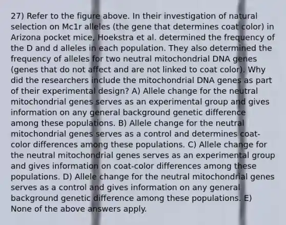 27) Refer to the figure above. In their investigation of natural selection on Mc1r alleles (the gene that determines coat color) in Arizona pocket mice, Hoekstra et al. determined the frequency of the D and d alleles in each population. They also determined the frequency of alleles for two neutral mitochondrial DNA genes (genes that do not affect and are not linked to coat color). Why did the researchers include the mitochondrial DNA genes as part of their experimental design? A) Allele change for the neutral mitochondrial genes serves as an experimental group and gives information on any general background genetic difference among these populations. B) Allele change for the neutral mitochondrial genes serves as a control and determines coat-color differences among these populations. C) Allele change for the neutral mitochondrial genes serves as an experimental group and gives information on coat-color differences among these populations. D) Allele change for the neutral mitochondrial genes serves as a control and gives information on any general background genetic difference among these populations. E) None of the above answers apply.