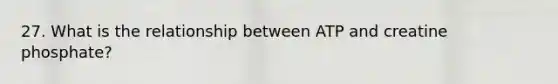 27. What is the relationship between ATP and creatine phosphate?