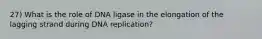 27) What is the role of DNA ligase in the elongation of the lagging strand during DNA replication?