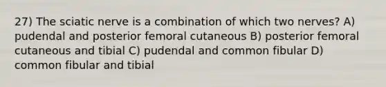 27) The sciatic nerve is a combination of which two nerves? A) pudendal and posterior femoral cutaneous B) posterior femoral cutaneous and tibial C) pudendal and common fibular D) common fibular and tibial