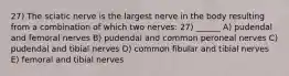 27) The sciatic nerve is the largest nerve in the body resulting from a combination of which two nerves: 27) ______ A) pudendal and femoral nerves B) pudendal and common peroneal nerves C) pudendal and tibial nerves D) common fibular and tibial nerves E) femoral and tibial nerves