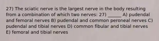 27) The sciatic nerve is the largest nerve in the body resulting from a combination of which two nerves: 27) ______ A) pudendal and femoral nerves B) pudendal and common peroneal nerves C) pudendal and tibial nerves D) common fibular and tibial nerves E) femoral and tibial nerves