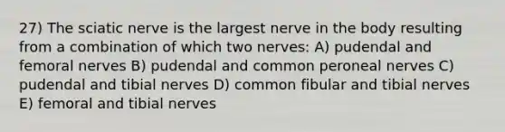 27) The sciatic nerve is the largest nerve in the body resulting from a combination of which two nerves: A) pudendal and femoral nerves B) pudendal and common peroneal nerves C) pudendal and tibial nerves D) common fibular and tibial nerves E) femoral and tibial nerves