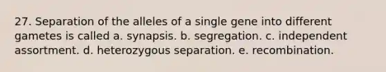 27. Separation of the alleles of a single gene into different gametes is called a. synapsis. b. segregation. c. independent assortment. d. heterozygous separation. e. recombination.