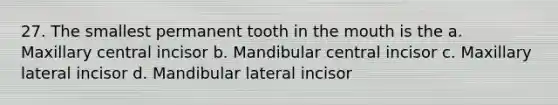 27. The smallest permanent tooth in the mouth is the a. Maxillary central incisor b. Mandibular central incisor c. Maxillary lateral incisor d. Mandibular lateral incisor