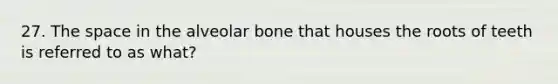 27. The space in the alveolar bone that houses the roots of teeth is referred to as what?