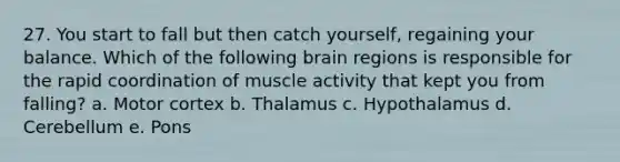 27. You start to fall but then catch yourself, regaining your balance. Which of the following brain regions is responsible for the rapid coordination of muscle activity that kept you from falling? a. Motor cortex b. Thalamus c. Hypothalamus d. Cerebellum e. Pons