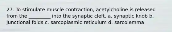 27. To stimulate muscle contraction, acetylcholine is released from the _________ into the synaptic cleft. a. synaptic knob b. junctional folds c. sarcoplasmic reticulum d. sarcolemma