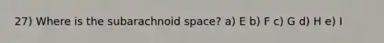 27) Where is the subarachnoid space? a) E b) F c) G d) H e) I