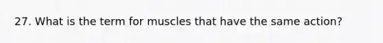 27. What is the term for muscles that have the same action?