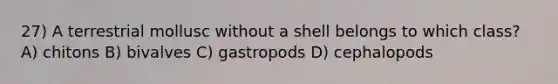 27) A terrestrial mollusc without a shell belongs to which class? A) chitons B) bivalves C) gastropods D) cephalopods