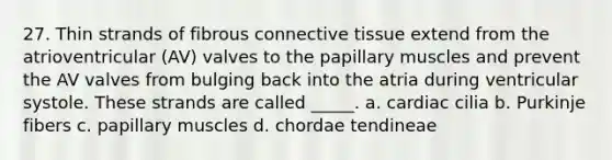 27. Thin strands of fibrous connective tissue extend from the atrioventricular (AV) valves to the papillary muscles and prevent the AV valves from bulging back into the atria during ventricular systole. These strands are called _____. a. cardiac cilia b. Purkinje fibers c. papillary muscles d. chordae tendineae