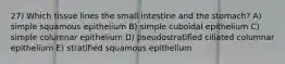 27) Which tissue lines the small intestine and the stomach? A) simple squamous epithelium B) simple cuboidal epithelium C) simple columnar epithelium D) pseudostratified ciliated columnar epithelium E) stratified squamous epithelium