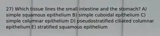 27) Which tissue lines the small intestine and the stomach? A) simple squamous epithelium B) simple cuboidal epithelium C) simple columnar epithelium D) pseudostratified ciliated columnar epithelium E) stratified squamous epithelium