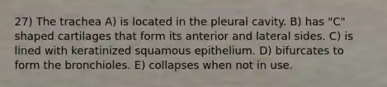 27) The trachea A) is located in the pleural cavity. B) has "C" shaped cartilages that form its anterior and lateral sides. C) is lined with keratinized squamous epithelium. D) bifurcates to form the bronchioles. E) collapses when not in use.